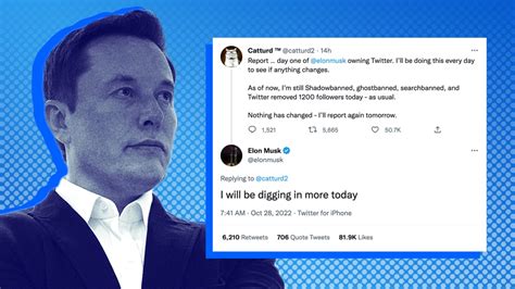 elon musk 八字|Elon Musk马斯克收购Twitter的流年分析及八字简评